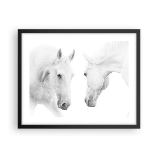 Obraz - Plakat - Czy to jest przyjaźń…? - 50x40cm - Konie Natura Zwierzęta - Foto Plakaty w ramie koloru czarnego do Salonu Sypialni ARTTOR ARTTOR
