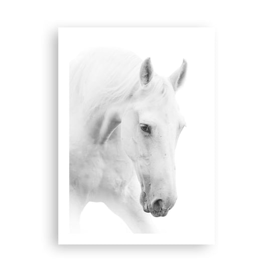 Obraz - Plakat - Czy to jest przyjaźń…? - 50x70cm - Konie Natura Zwierzęta - Nowoczesny modny obraz Plakat bez ramy do Salonu Sypialni ARTTOR ARTTOR