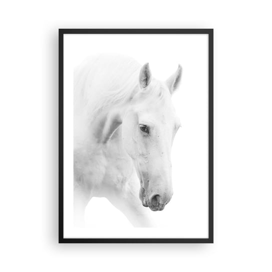 Obraz - Plakat - Czy to jest przyjaźń…? - 50x70cm - Konie Natura Zwierzęta - Nowoczesny modny obraz Plakat czarna rama ARTTOR ARTTOR