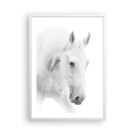 Obraz - Plakat - Czy to jest przyjaźń…? - 50x70cm - Konie Natura Zwierzęta - Nowoczesny modny obraz Plakat rama biała ARTTOR ARTTOR