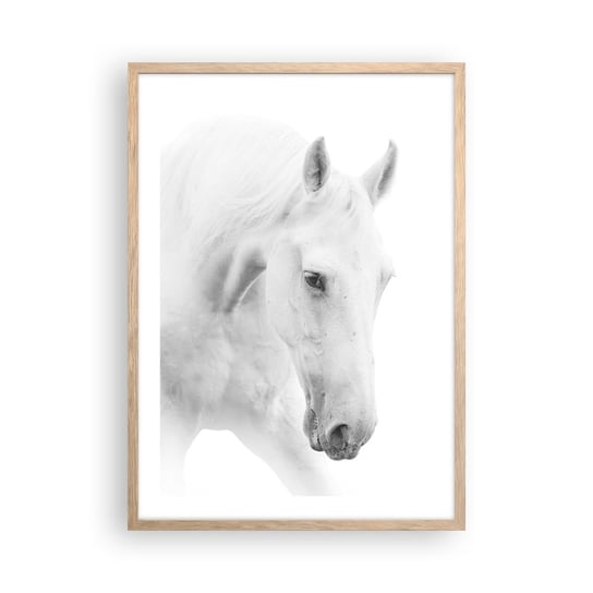 Obraz - Plakat - Czy to jest przyjaźń…? - 50x70cm - Konie Natura Zwierzęta - Nowoczesny modny obraz Plakat rama jasny dąb ARTTOR ARTTOR