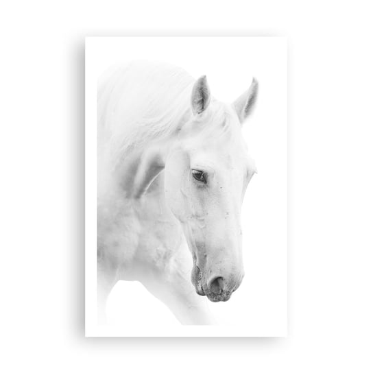 Obraz - Plakat - Czy to jest przyjaźń…? - 61x91cm - Konie Natura Zwierzęta - Foto Plakaty na ścianę bez ramy - Plakat do Salonu Sypialni ARTTOR ARTTOR
