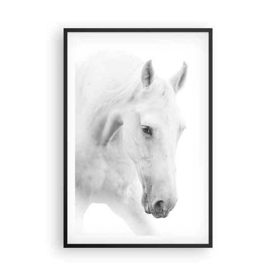 Obraz - Plakat - Czy to jest przyjaźń…? - 61x91cm - Konie Natura Zwierzęta - Foto Plakaty na ścianę w czarnej ramie - Plakat do Salonu Sypialni ARTTOR ARTTOR