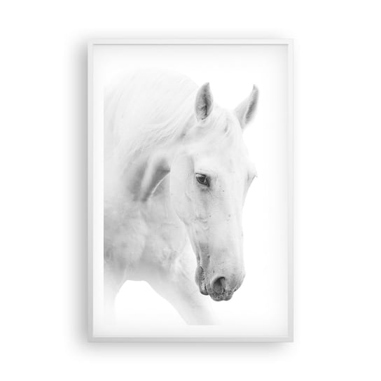 Obraz - Plakat - Czy to jest przyjaźń…? - 61x91cm - Konie Natura Zwierzęta - Foto Plakaty na ścianę w ramie białej - Plakat do Salonu Sypialni ARTTOR ARTTOR