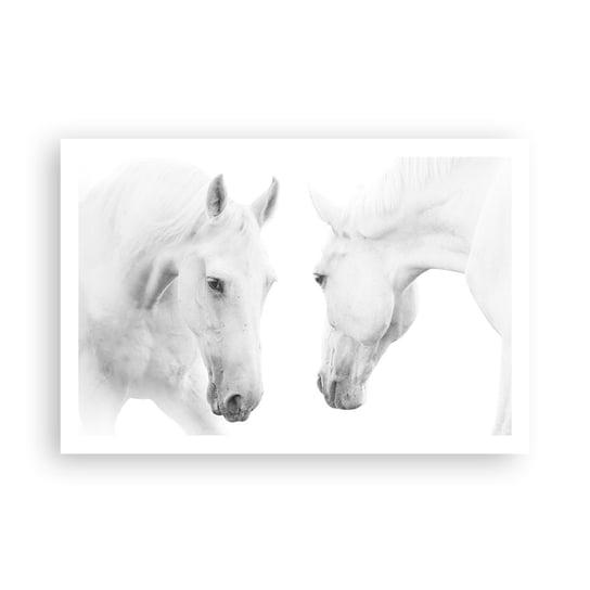 Obraz - Plakat - Czy to jest przyjaźń…? - 91x61cm - Konie Natura Zwierzęta - Foto Plakaty na ścianę bez ramy - Plakat do Salonu Sypialni ARTTOR ARTTOR
