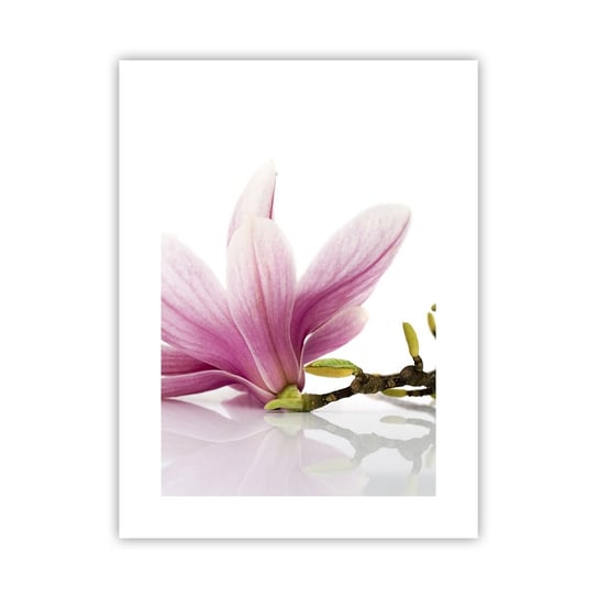 Obraz - Plakat - Delikatne jak powiew wiosny - 30x40cm - Kwiat Magnolia Natura - Foto Plakaty na ścianę bez ramy - Plakat do Salonu Sypialni ARTTOR ARTTOR