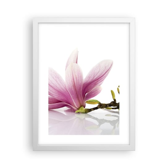 Obraz - Plakat - Delikatne jak powiew wiosny - 30x40cm - Kwiat Magnolia Natura - Foto Plakaty na ścianę w ramie białej - Plakat do Salonu Sypialni ARTTOR ARTTOR