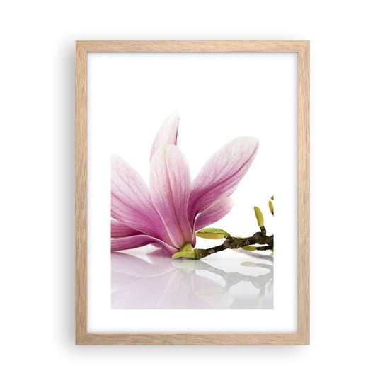 Obraz - Plakat - Delikatne jak powiew wiosny - 30x40cm - Kwiat Magnolia Natura - Foto Plakaty na ścianę w ramie jasny dąb - Plakat do Salonu Sypialni ARTTOR ARTTOR