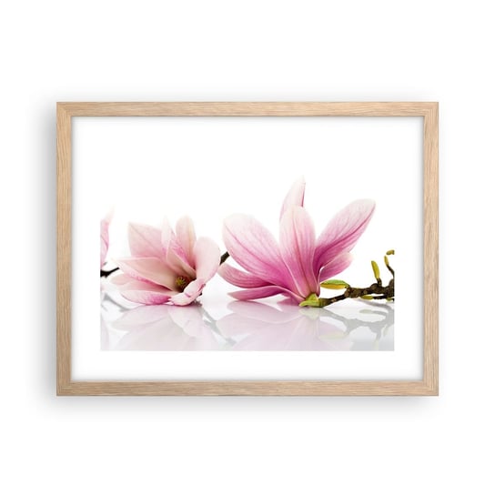 Obraz - Plakat - Delikatne jak powiew wiosny - 40x30cm - Kwiat Magnolia Natura - Foto Plakaty na ścianę w ramie jasny dąb - Plakat do Salonu Sypialni ARTTOR ARTTOR