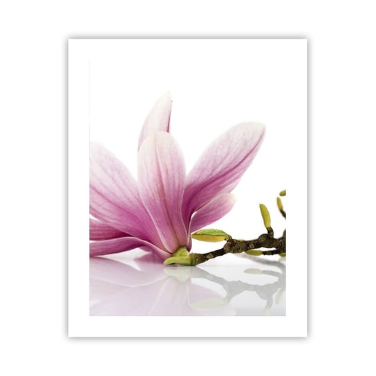 Obraz - Plakat - Delikatne jak powiew wiosny - 40x50cm - Kwiat Magnolia Natura - Foto Plakaty bez ramy do Salonu Sypialni ARTTOR ARTTOR