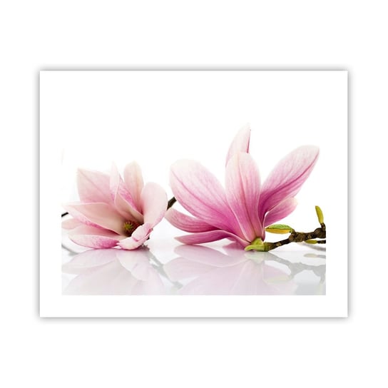Obraz - Plakat - Delikatne jak powiew wiosny - 50x40cm - Kwiat Magnolia Natura - Foto Plakaty bez ramy do Salonu Sypialni ARTTOR ARTTOR