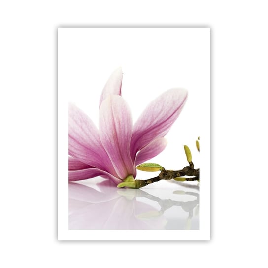 Obraz - Plakat - Delikatne jak powiew wiosny - 50x70cm - Kwiat Magnolia Natura - Nowoczesny modny obraz Plakat bez ramy do Salonu Sypialni ARTTOR ARTTOR