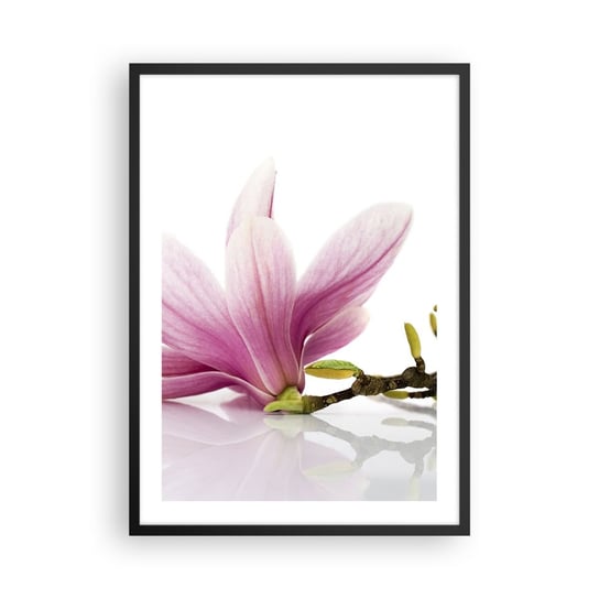 Obraz - Plakat - Delikatne jak powiew wiosny - 50x70cm - Kwiat Magnolia Natura - Nowoczesny modny obraz Plakat czarna rama ARTTOR ARTTOR