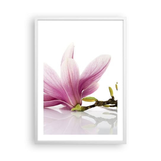 Obraz - Plakat - Delikatne jak powiew wiosny - 50x70cm - Kwiat Magnolia Natura - Nowoczesny modny obraz Plakat rama biała ARTTOR ARTTOR