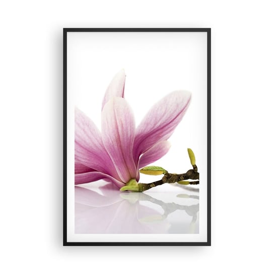Obraz - Plakat - Delikatne jak powiew wiosny - 61x91cm - Kwiat Magnolia Natura - Foto Plakaty na ścianę w czarnej ramie - Plakat do Salonu Sypialni ARTTOR ARTTOR