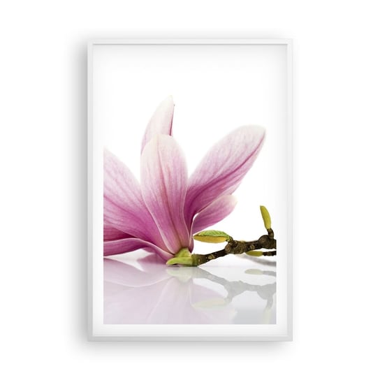 Obraz - Plakat - Delikatne jak powiew wiosny - 61x91cm - Kwiat Magnolia Natura - Foto Plakaty na ścianę w ramie białej - Plakat do Salonu Sypialni ARTTOR ARTTOR