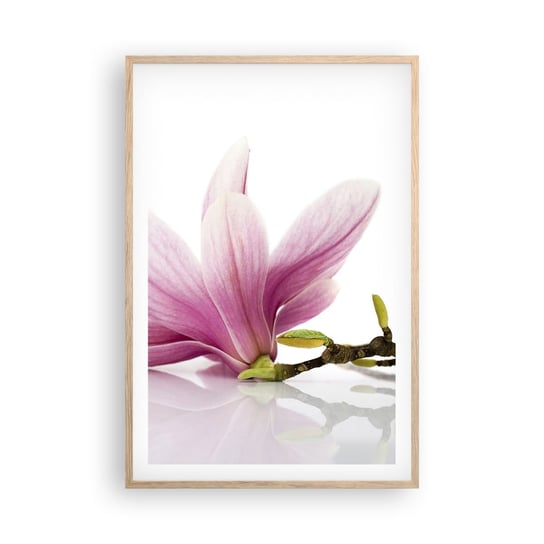 Obraz - Plakat - Delikatne jak powiew wiosny - 61x91cm - Kwiat Magnolia Natura - Foto Plakaty na ścianę w ramie jasny dąb - Plakat do Salonu Sypialni ARTTOR ARTTOR