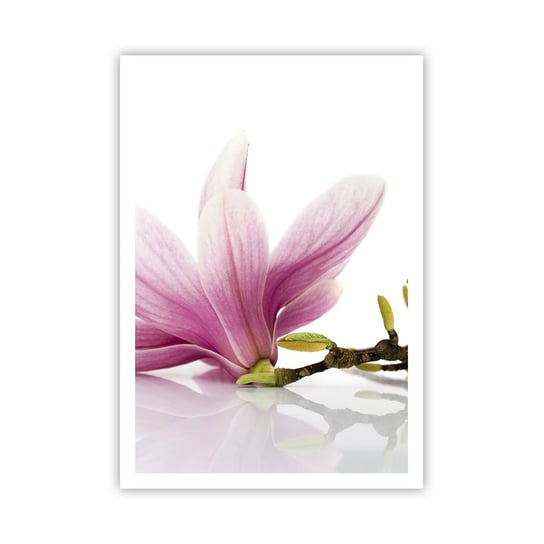 Obraz - Plakat - Delikatne jak powiew wiosny - 70x100cm - Kwiat Magnolia Natura - Foto Plakaty bez ramy na ścianę do Salonu Sypialni ARTTOR ARTTOR