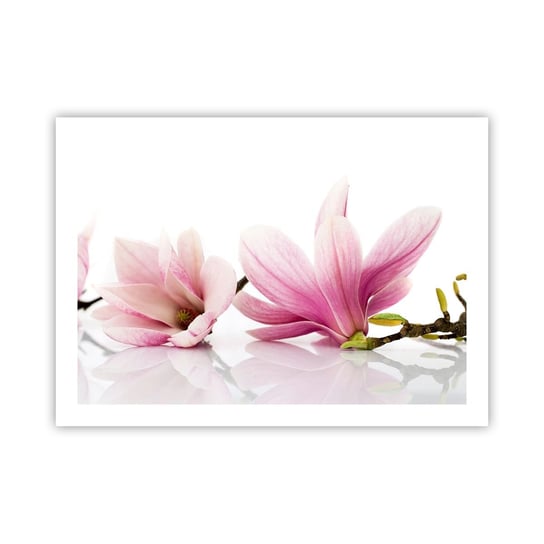 Obraz - Plakat - Delikatne jak powiew wiosny - 70x50cm - Kwiat Magnolia Natura - Nowoczesny modny obraz Plakat bez ramy do Salonu Sypialni ARTTOR ARTTOR