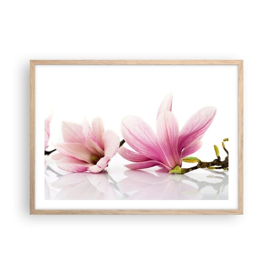 Obraz - Plakat - Delikatne jak powiew wiosny - 70x50cm - Kwiat Magnolia Natura - Nowoczesny modny obraz Plakat rama jasny dąb ARTTOR ARTTOR