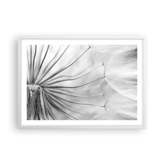 Obraz - Plakat - Dmuchawce, latawce - 70x50cm - Minimalizm Delikatny Kwiat - Nowoczesny modny obraz Plakat rama biała ARTTOR ARTTOR