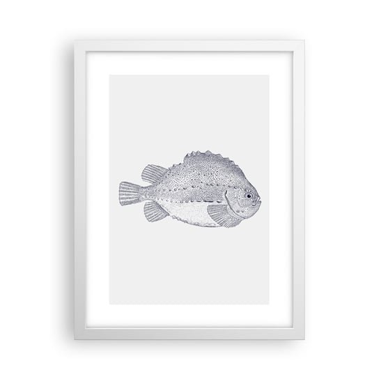 Obraz - Plakat - Do albumu przyrodnika - 30x40cm - Ryba Morski Ocean - Foto Plakaty na ścianę w ramie białej - Plakat do Salonu Sypialni ARTTOR ARTTOR