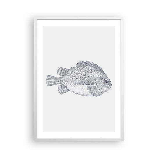 Obraz - Plakat - Do albumu przyrodnika - 50x70cm - Ryba Morski Ocean - Nowoczesny modny obraz Plakat rama biała ARTTOR ARTTOR