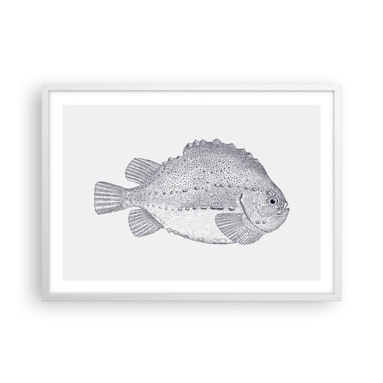 Obraz - Plakat - Do albumu przyrodnika - 70x50cm - Ryba Morski Ocean - Nowoczesny modny obraz Plakat rama biała ARTTOR ARTTOR