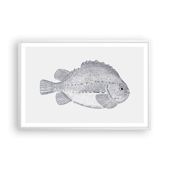 Obraz - Plakat - Do albumu przyrodnika - 91x61cm - Ryba Morski Ocean - Foto Plakaty na ścianę w ramie białej - Plakat do Salonu Sypialni ARTTOR ARTTOR
