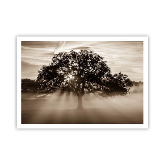 Obraz - Plakat - Drzewo wiadomości samego dobrego - 100x70cm - Krajobraz Drzewo Promienie Słońca - Foto Plakaty bez ramy na ścianę do Salonu Sypialni ARTTOR ARTTOR