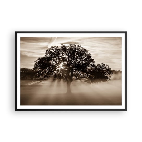 Obraz - Plakat - Drzewo wiadomości samego dobrego - 100x70cm - Krajobraz Drzewo Promienie Słońca - Foto Plakaty w ramie koloru czarnego do Salonu Sypialni ARTTOR ARTTOR