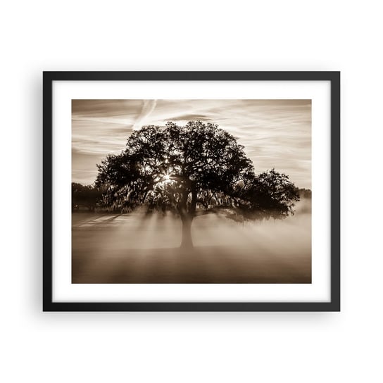 Obraz - Plakat - Drzewo wiadomości samego dobrego - 50x40cm - Krajobraz Drzewo Promienie Słońca - Foto Plakaty w ramie koloru czarnego do Salonu Sypialni ARTTOR ARTTOR