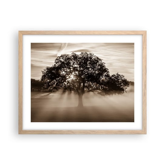 Obraz - Plakat - Drzewo wiadomości samego dobrego - 50x40cm - Krajobraz Drzewo Promienie Słońca - Foto Plakaty w ramie koloru jasny dąb do Salonu Sypialni ARTTOR ARTTOR