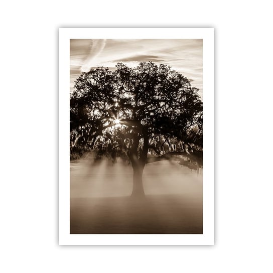 Obraz - Plakat - Drzewo wiadomości samego dobrego - 50x70cm - Krajobraz Drzewo Promienie Słońca - Nowoczesny modny obraz Plakat bez ramy do Salonu Sypialni ARTTOR ARTTOR
