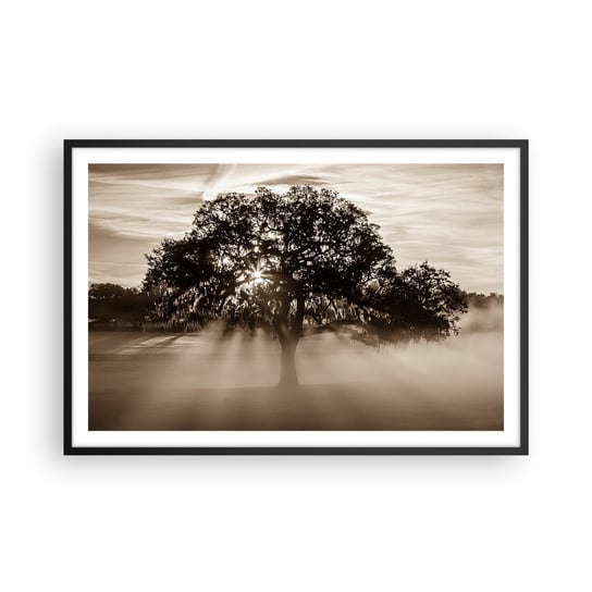 Obraz - Plakat - Drzewo wiadomości samego dobrego - 91x61cm - Krajobraz Drzewo Promienie Słońca - Foto Plakaty na ścianę w czarnej ramie - Plakat do Salonu Sypialni ARTTOR ARTTOR