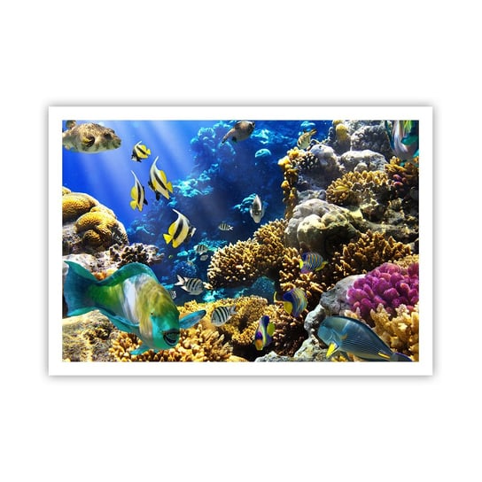 Obraz - Plakat - Duży ruch na wakacyjnym szlaku - 100x70cm - Rafa Koralowa Ocean Ryby - Foto Plakaty bez ramy na ścianę do Salonu Sypialni ARTTOR ARTTOR