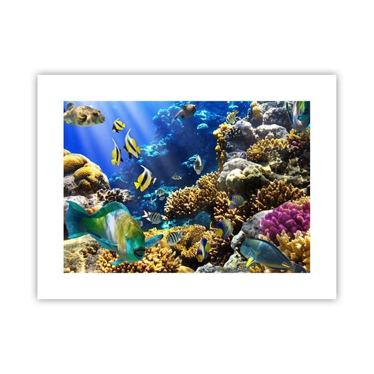 Obraz - Plakat - Duży ruch na wakacyjnym szlaku - 40x30cm - Rafa Koralowa Ocean Ryby - Foto Plakaty na ścianę bez ramy - Plakat do Salonu Sypialni ARTTOR ARTTOR