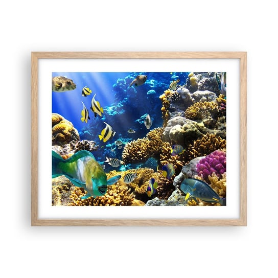 Obraz - Plakat - Duży ruch na wakacyjnym szlaku - 50x40cm - Rafa Koralowa Ocean Ryby - Foto Plakaty w ramie koloru jasny dąb do Salonu Sypialni ARTTOR ARTTOR