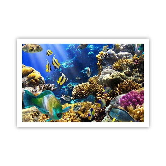 Obraz - Plakat - Duży ruch na wakacyjnym szlaku - 91x61cm - Rafa Koralowa Ocean Ryby - Foto Plakaty na ścianę bez ramy - Plakat do Salonu Sypialni ARTTOR ARTTOR