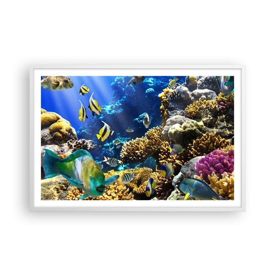 Obraz - Plakat - Duży ruch na wakacyjnym szlaku - 91x61cm - Rafa Koralowa Ocean Ryby - Foto Plakaty na ścianę w ramie białej - Plakat do Salonu Sypialni ARTTOR ARTTOR