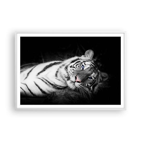 Obraz - Plakat - Dzikość i spokój - 100x70cm - Tygrys Biały Tygrys Zwierzęta - Foto Plakaty w ramie koloru białego do Salonu Sypialni ARTTOR ARTTOR