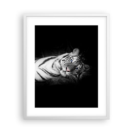 Obraz - Plakat - Dzikość i spokój - 40x50cm - Tygrys Biały Tygrys Zwierzęta - Foto Plakaty w ramie koloru białego do Salonu Sypialni ARTTOR ARTTOR