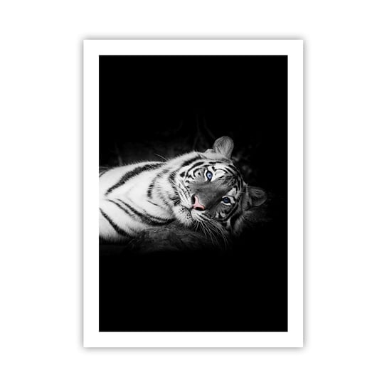 Obraz - Plakat - Dzikość i spokój - 50x70cm - Tygrys Biały Tygrys Zwierzęta - Nowoczesny modny obraz Plakat bez ramy do Salonu Sypialni ARTTOR ARTTOR