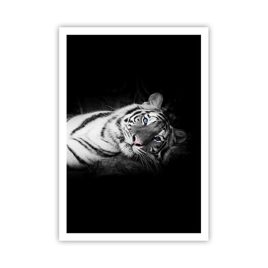 Obraz - Plakat - Dzikość i spokój - 70x100cm - Tygrys Biały Tygrys Zwierzęta - Foto Plakaty bez ramy na ścianę do Salonu Sypialni ARTTOR ARTTOR