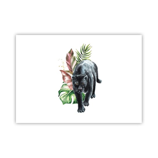 Obraz - Plakat - Dzikość serca - 100x70cm - Czarna Pantera Zwierzęta Natura - Foto Plakaty bez ramy na ścianę do Salonu Sypialni ARTTOR ARTTOR