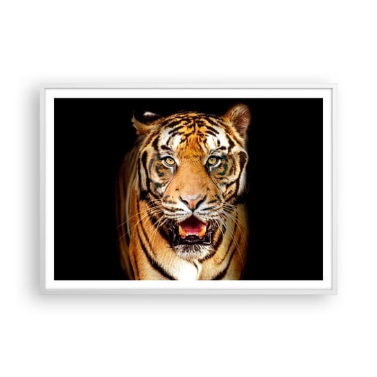 Obraz - Plakat - Dzikość serca - 100x70cm - Zwierzęta Tygrys Drapieżnik - Foto Plakaty w ramie koloru białego do Salonu Sypialni ARTTOR ARTTOR