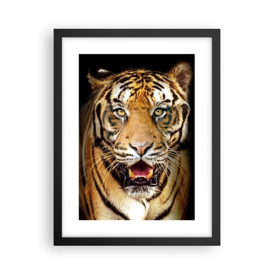Obraz - Plakat - Dzikość serca - 30x40cm - Zwierzęta Tygrys Drapieżnik - Foto Plakaty na ścianę w czarnej ramie - Plakat do Salonu Sypialni ARTTOR ARTTOR