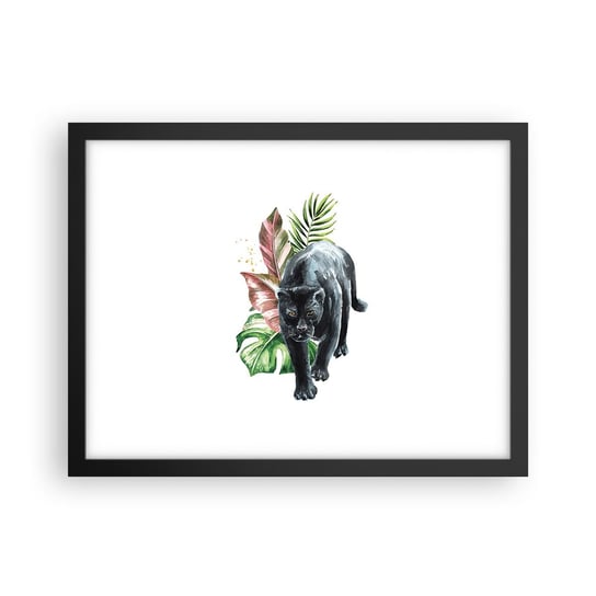 Obraz - Plakat - Dzikość serca - 40x30cm - Czarna Pantera Zwierzęta Natura - Foto Plakaty na ścianę w czarnej ramie - Plakat do Salonu Sypialni ARTTOR ARTTOR