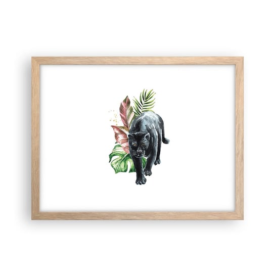 Obraz - Plakat - Dzikość serca - 40x30cm - Czarna Pantera Zwierzęta Natura - Foto Plakaty na ścianę w ramie jasny dąb - Plakat do Salonu Sypialni ARTTOR ARTTOR