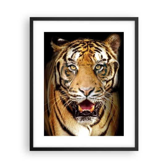 Obraz - Plakat - Dzikość serca - 40x50cm - Zwierzęta Tygrys Drapieżnik - Foto Plakaty w ramie koloru czarnego do Salonu Sypialni ARTTOR ARTTOR